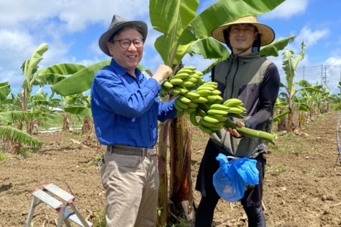 沖縄県糸満市で島バナナを栽培する「あぐりぴあ沖縄 78ハーブ園」を訪ねました